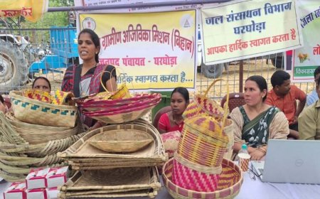 आत्मनिर्भरता की मिसाल बनीं ग्रामीण महिलाएं,  गृह उद्योग और हस्तशिल्प से संवर रहा भविष्य