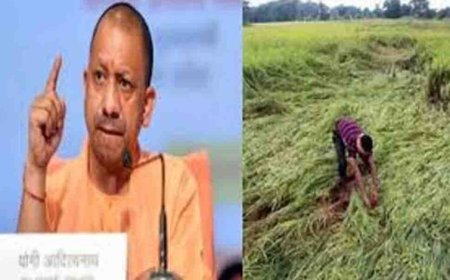 किसानों की फसल नुकसान पर मुख्यमंत्री गंभीर, तत्काल राहत वितरण के निर्देश