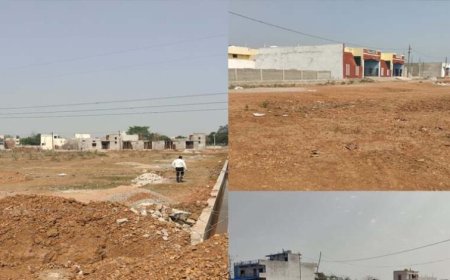 परसदा में सरकारी जमीन पर फ्लर्टिंग की परंपरा हुई तेज