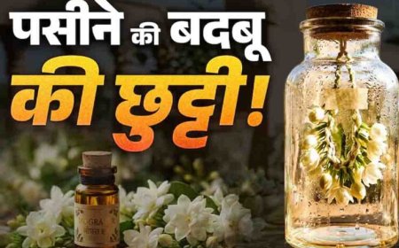पसीने की बदबू से छुटकारा दिलाएगा मोगरे का देसी इत्र, बिना किसी खर्च के घर पर इस जादुई तरीके से करें तैयार
