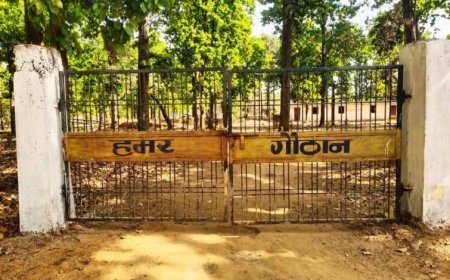 धोवाताल की 60 महिलाओं ने रची आत्मनिर्भरता की मिसाल