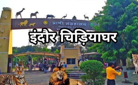 इंदौर चिड़ियाघर में बनेगी अंडर वॉटर टनल, दुबई और सिंगापुर की तर्ज पर 35 करोड़ का मॉडल