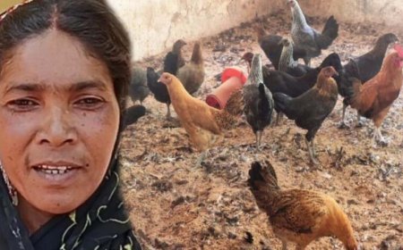 गौठान से बदली तस्वीर: धोवाताल बना आत्मनिर्भर मॉडल गांव, पलायन पर लगी रोक