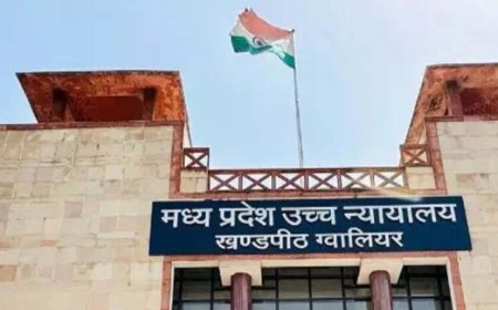 दिव्यांग रेप पीड़िता को कोर्ट से मिली गर्भ गिराने की अनुमति, हाईकोर्ट ने कहा महिला की इच्छा सर्वोपरि