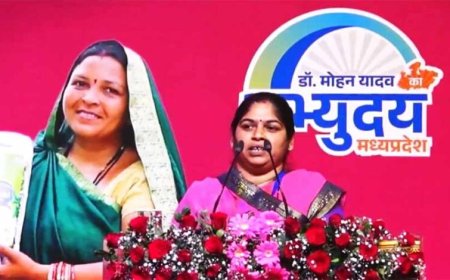 हौसलों की उड़ान: हवाई जहाज़ से उड़ान भरने वाली गांव की पहली बहू मीनाक्षी