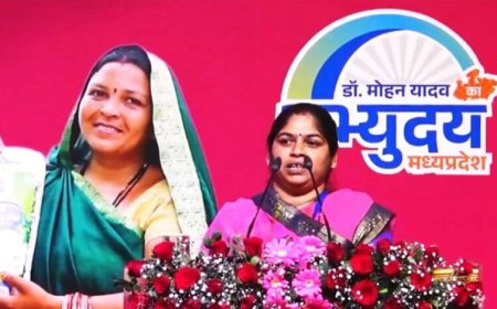 नारी शक्ति वंदन-हौसलों की उड़ान: हवाई जहाज़ से उड़ान भरने वाली गांव की पहली बहू मीनाक्षी