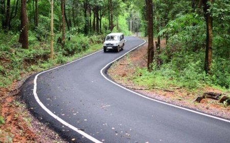 रायपुर : बस्तर में बदलाव की नई बयार, माओवाद के साये से निकलकर कोलेंग वनांचल में बदली तस्वीर