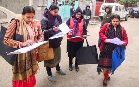 छत्तीसगढ़ में 1 मई से जनगणना की शुरुआत: पहले चरण में मकानों की होगी गणना
