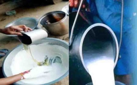 आगरा में 1200 लीटर मिलावटी दूध जब्त, रिफाइंड मिलाने का खुलासा