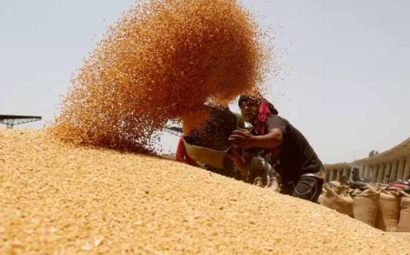 2 दिन में किसानों को 6 करोड़ 37 लाख का भुगतान