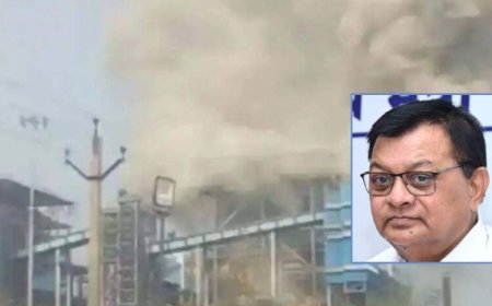 वेदांता पावर प्लांट हादसे पर उद्योग मंत्री ने जताया गहरा शोक