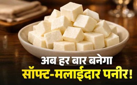 घर का पनीर बनेगा हलवाई जैसा सॉफ्ट, अपनाएं ये आसान टिप्स