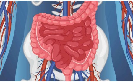 ज्यादा तीखा खाना पड़ सकता है भारी, पेट और पाचन पर डालता है असर