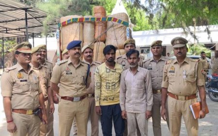 सुलतानपुर में बड़ी कार्रवाई,ट्रक से 15 कुंतल 20 किलो गांजा बरामद