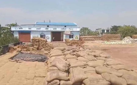 धान खरीदी स्टॉक में 2.54 करोड़ की गड़बड़ी: मुंगेली केंद्र प्रभारी पर FIR दर्ज