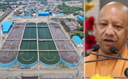 गंगा के किनारे 26 जिलों में ऑर्गेनिक क्लस्टर से बदल रही यूपी की तस्वीर