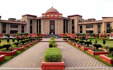नगर पंचायत नवागढ़ अध्यक्ष को राहत: हाईकोर्ट ने बर्खास्तगी पर लगाई रोक