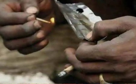 रील्स से सीखा तरीका, भोपाल की हाई-प्रोफाइल लड़कियां बेच रही थीं नशा, VIP अंदाज में पुलिस भी चकमा खा गई