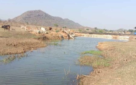 मनरेगा से पनारी नाले का जीर्णोद्धार: 1200 ग्रामीणों को पेयजल व सिंचाई का लाभ