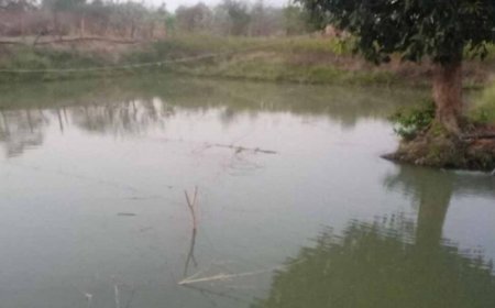 डबरी, मछली पालन और बहुफसली खेती से बदली तकदीर—सगनू बने गांव के प्रेरणास्रोत