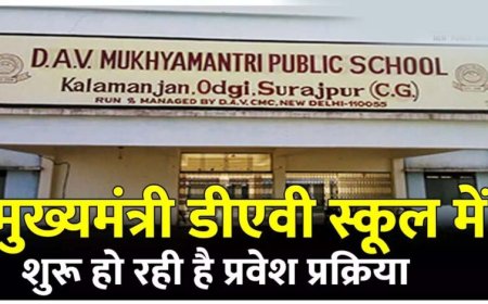बलौदाबाजार : डीएव्ही मुख्यमंत्री पब्लिक स्कूल में प्रवेश हेतु आवेदन 28 अप्रैल तक