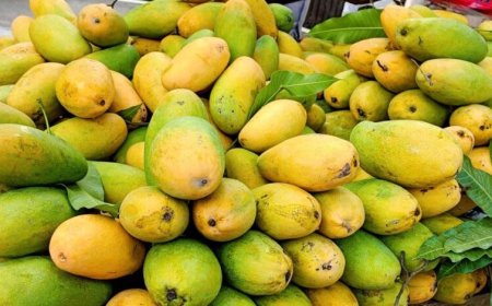 FSSAI का सख्त निर्देश: केमिकल से फल पकाने पर होगी कार्रवाई