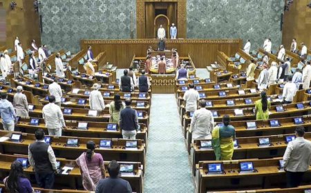 विधेयक पास कराने में नाकामी, CM का राज्यसभा रुख—संसद के बजट सत्र ने रचा इतिहास