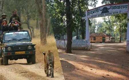 उदंती सीतानदी टाइगर रिजर्व में ‘फायर-वॉटर’ मॉडल का कमाल, 750 जल स्रोत और हाईटेक निगरानी से जंगल सुरक्षित