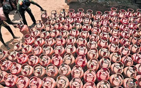 अब तक 2938 स्थानों पर हुई जाँच, 4547 गैस सिलेण्डर किये गये जब्त