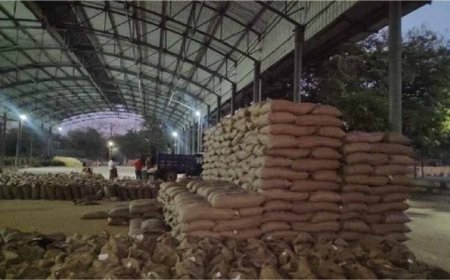 एक लाख 45 हज़ार 71 किसानों से की जा चुकी है 63 लाख 27 हजार 410 क्विंटल गेहूँ की खरीदी : मंत्री राजपूत