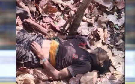 जंगल की खामोशी में गूंजी चीख: महुआ बीनने गए ग्रामीण की हाथी हमले में दर्दनाक मौत