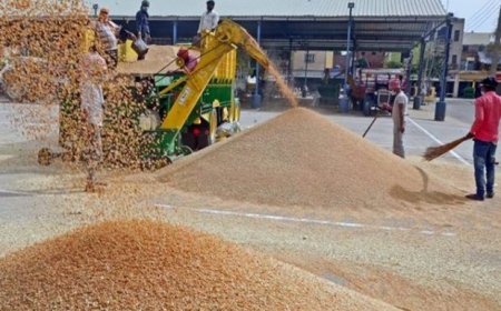 मुख्यमंत्री ने गेहूं खरीद में किसानों को दी बड़ी राहत