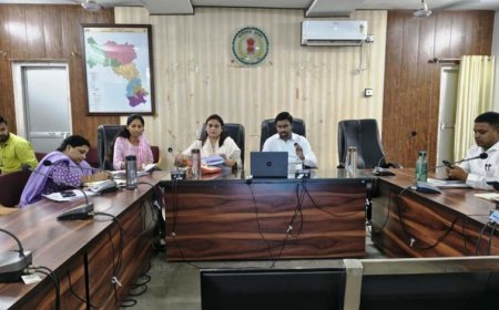 समय-सीमा बैठक में कलेक्टर सख्त, डीएमएफ कार्यों पर कड़ी निगरानी