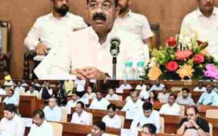 पेयजल, अवैध प्लॉटिंग और निर्माण पर डिप्टी CM साव सख्त, अभियंता सस्पेंड के निर्देश