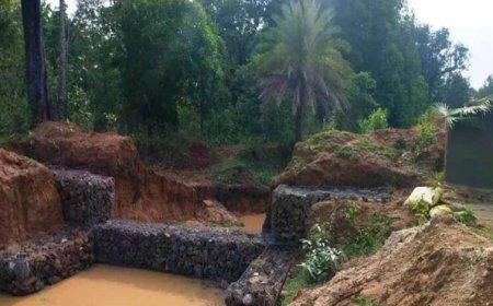 लाल नाटक के बाद जागरूकता का संदेश: मंचों से गूंजा वन संरक्षण और जल बचाने का आह्वान