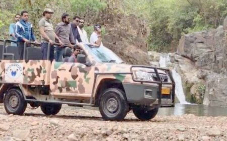 Kawardha में जल्द शुरू होगी जंगल सफारी, 35 किमी रूट पर 22 बार नदी पार करने का रोमांच