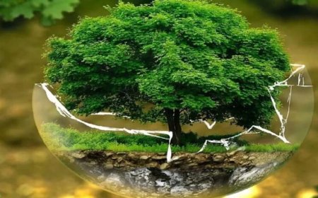 विश्व पृथ्वी दिवस पर INTACH की राष्ट्रीय पोस्टर प्रतियोगिता आयोजित