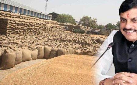 समर्थन मूल्य पर गेहूं उपार्जन का लक्ष्य बढ़ाने भारत सरकार से चर्चा जारी: मुख्यमंत्री डॉ. यादव