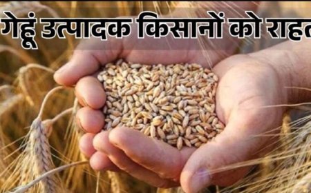 मध्‍यम एवं बड़े कृषकों को गेहूं विक्रय करने के लिये स्‍लॉट बुकिंग की सुविधा प्रारंभ