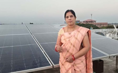 रायपुर : सोलर पैनल अपनाकर देवश्री साहू बनीं आत्मनिर्भर, बिजली बिल से मिली पूर्ण मुक्ति