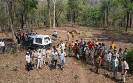 Udanti Sitanadi Tiger Reserve में अतिक्रमण की कोशिश नाकाम, वन विभाग ने 22 लोगों को किया गिरफ्तार