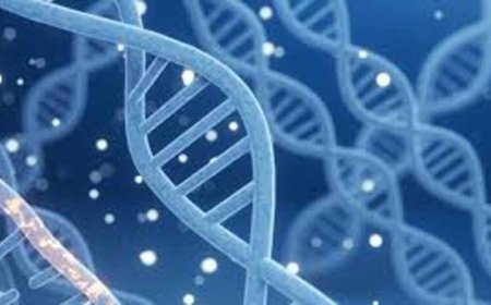 प्रिसिजन मेडिसिन,DNA आधारित इलाज की नई दिशा