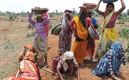 मनरेगा ई-केवाईसी में छत्तीसगढ़ नंबर-1, 97.11% सक्रिय श्रमिकों को मिली सुविधा