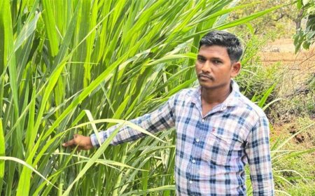 मजदूरी की बेड़ियां तोड़ ‘मल्टी-फार्मिंग’ के नायक बने ललित यादव