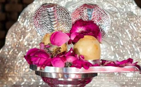 29 अप्रैल को रायपुर में प्राचीन “सोमनाथ ज्योतिर्लिंग छत्तीसगढ़ वासियों के जनदर्शन हेतु कार्यक्रम