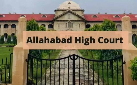 इलाहाबाद हाई कोर्ट का बड़ा फैसला, किन्नरों को ‘बधाई’ वसूली का कानूनी अधिकार नहीं