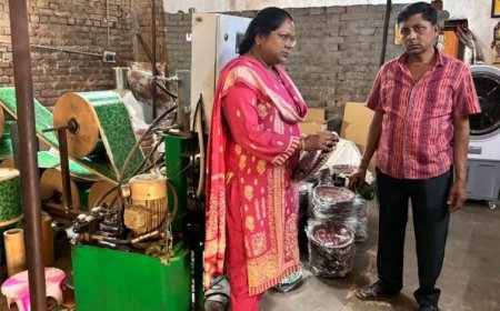 रीता यादव ने रायगढ़ का किया दौरा, PMEGP और CMEGP योजनाओं के तहत युवा उद्यमियों की इकाइयों का निरीक्षण