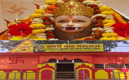 ग्राम हांफा में मनाया जाएगा भगवान श्री नृसिंह देव जी का प्रगटोत्सव”