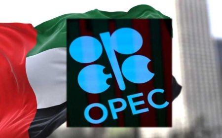 भारत को फायदा, पाकिस्तान को नुकसान… UAE के OPEC छोड़ने से किसे कितना नफा-नुकसान?
