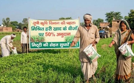 हरी खाद- खेती में बढ़ेगा उत्पादन, मिट्टी की सेहत होगी बेहतर